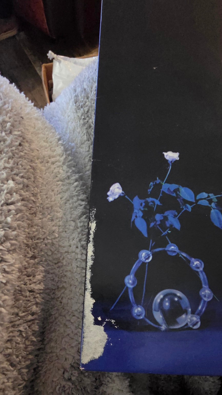 Stevie Nicks Bella Donna cover edge wear detail
